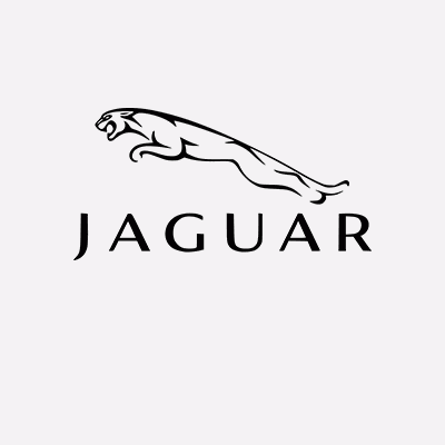 Akiniai Jaguar