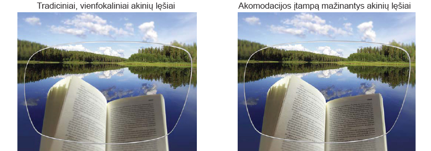 Knygos, vandens ir miško vaizdas matomas per korekcinius akinius